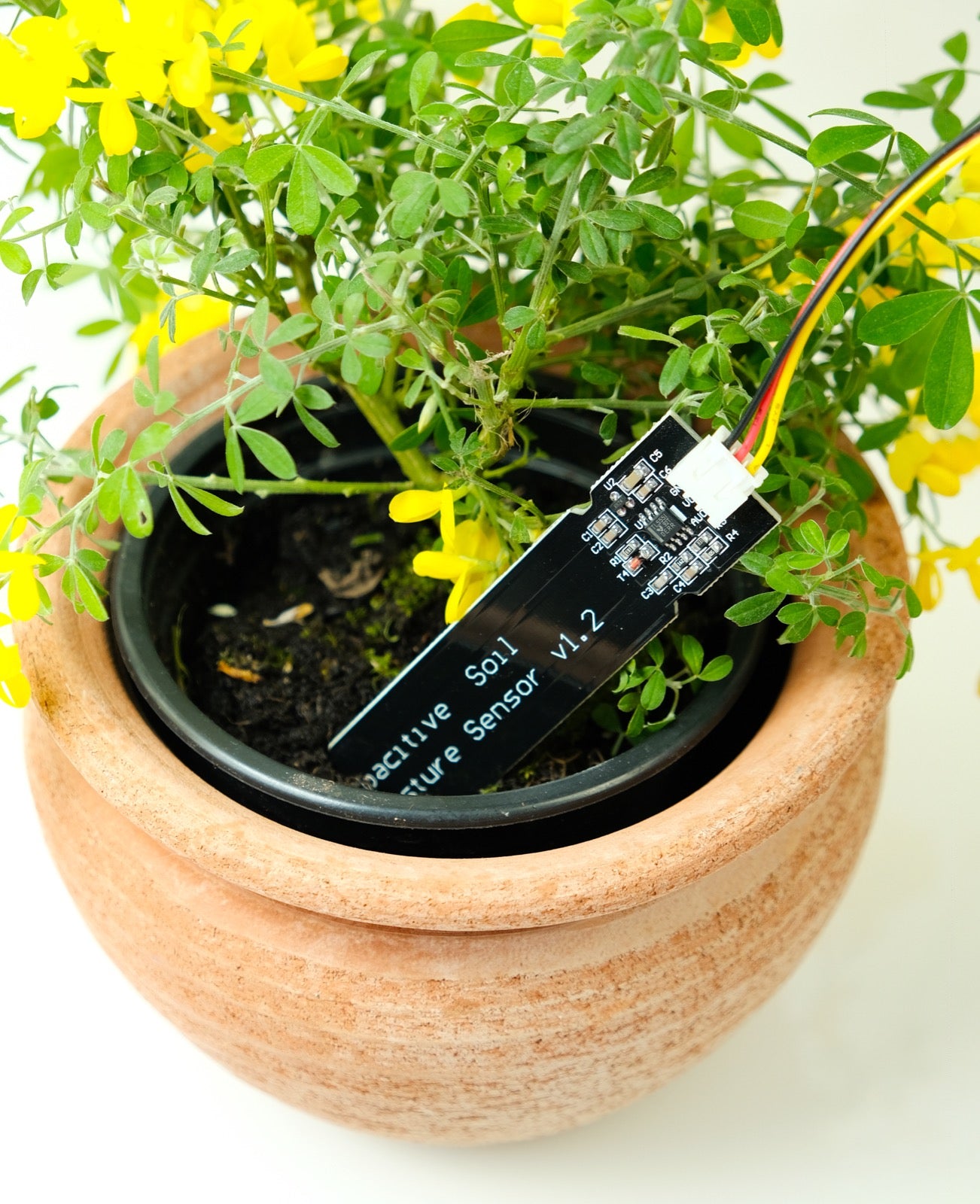 Capacitive Soil Moisture Sensor with Cable, Analog Output