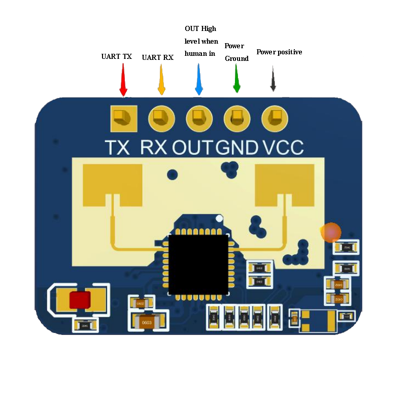 LD2410C 24GHz Human Presence Sensor | mmWave Radar | Detects Motion & Presence up to 5 m Range | UART, GPIO, BLE